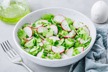 Spring vegetable salad. Fresh radish cucumber salad with green lettuce in bowl