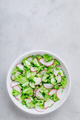 Spring vegetable salad. Fresh radish cucumber salad with green lettuce in bowl