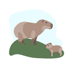 South American animals