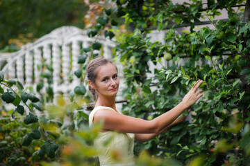 Cute girl woman in a dress looking an apple tree on a trellis, beautiful classic garden and unusual fruit trees