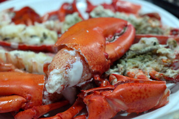 Lobster claws Filled with Flesh
