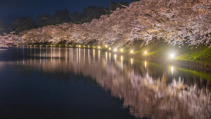 弘前城　西濠　夜桜　ライトアップ　絶景