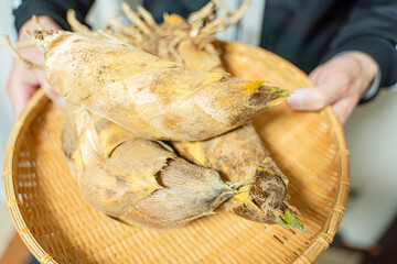 食べ物素材　掘りたての筍