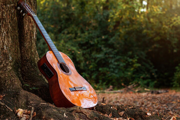 Guitarra bajo un arbo en el bosque al atardecer