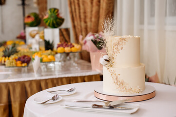 Various desserts and cake on the buffet table at the wedding