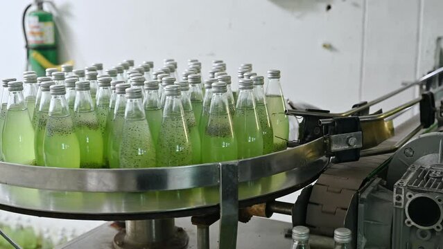Bottled green juice refreshment rotating on production line in automatic machine at beverage processing plant