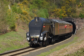 Fototapeta premium Sir Nigel Gresley traveling though Devil's Spittleful nature reserve during the Severn valley railway spring steam gala