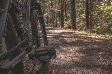 Biking near the train tracks