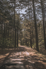 Biking near the train tracks