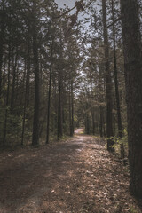 Obraz premium Biking near the train tracks