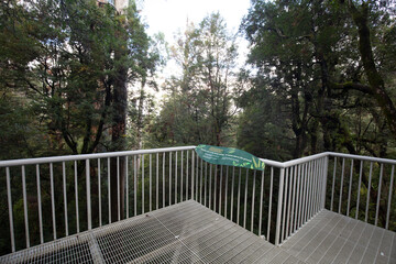 Rainforest Gallery Warburton in Victoria Australia