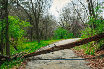Biking near the train tracks