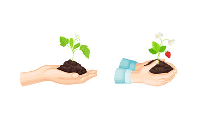 Hands holding green sprout into soil set. Organic agriculture and environment protection vector illustration