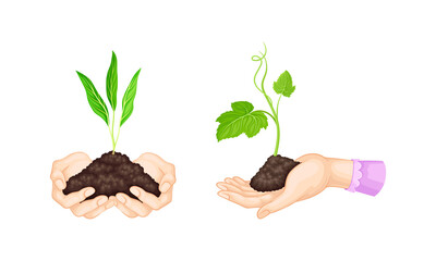 Hands pressed together holding lump of soil with green sprout set. Organic agriculture and environment protection vector illustration