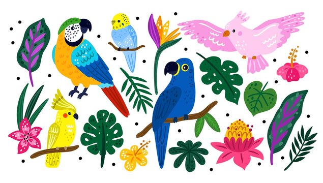 Tropical birds and plants. Caribbean wildlife. Rainforest exotic flower and leaves. Jungle animals. Bright parrots on branches. Rainforest nature. Vector Hawaiian summer elements set