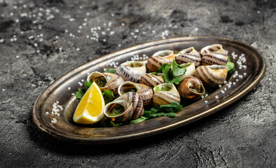 Baked snails with butter and spice on dark background. Snails baked with sauce, Bourgogne Escargot Snails. gourmet food. concept of french cuisine, Long banner format. top view