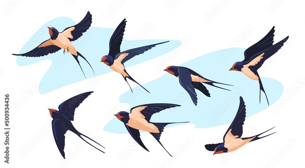 Wall mural Wildlife swallow. Isolated flying swallows bird swallowing vole, birding swift air flight songbird plumage wings flock birds above sky tattoo design