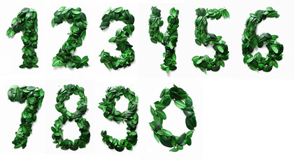 
set of numbers from one to nine made from fresh green leaves isolated on white background