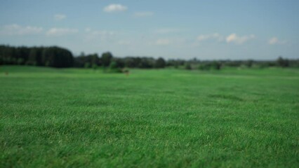 Golf course landscape view at country club. Grass fairway on summer sunny day.