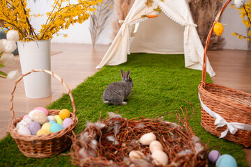 Easter bunny sitting on the grass near the eggs
