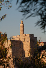 View of the landmark, stone Tower of David and the surrounding walls and greenery of the Old City of Jerusalem. © Yehoshua Halevi