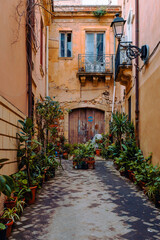 Fototapeta na wymiar Characteristic alley with plants in the historical center of Ortigia