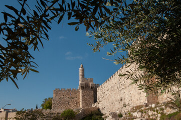 View of the landmark, stone Tower of David and the surrounding walls and greenery of the Old City of Jerusalem. © Yehoshua Halevi