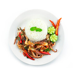 Stir Fried Tentacles Squids Spicy with Basil Served Rice