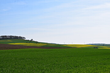grüne und gelbe Felder im Frühling, Eifellandschaft 