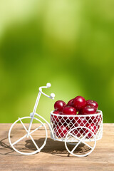 Red ripe cherries in a white decorative bicycle basket on a green background