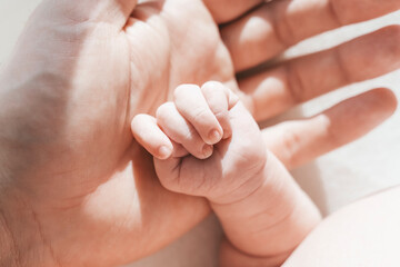 Baby's hand. The father holds with tenderness and love the small hand of the newborn. New life,...