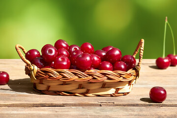 Red ripe cherries in a wicker basket on a green blurred background