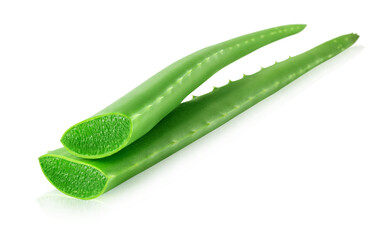 Two leaves of Aloe vera plant isolated over white background. Natural ingredient for herbal cosmetics, cosmetology, dermatology, alternative medicine. Clipping path