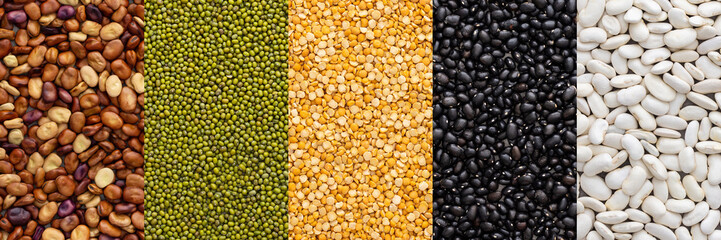 Different types of legumes banner, brown and mung beans, yellow peas and white and black beans, top view