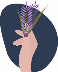 Lavender flowers in female hand. Spring illustration with purple flowers.