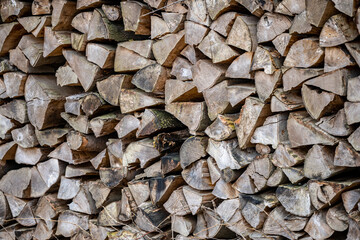 A pile of firewood drying before winter