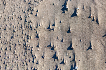 Natural beach sand texture created by wind