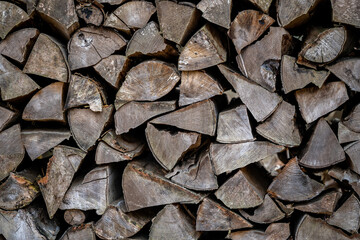 A pile of firewood drying before winter