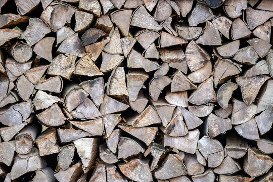 A pile of firewood drying before winter