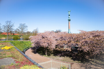 Copenhagen-Denmark. Cherry Blossom in Langelinie park near St. Alban's Church and Kastellet in Copenhagen. Urban Park. High quality photo