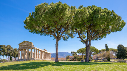 Fototapeta na wymiar Paestum, Italy; April 19, 2022 - The Temple of Athena is a Greek temple found at Paestum, Italy. It was built around 500 BC.