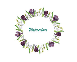 Spring white snowdrop and purple crocuses, Watercolor frames for postcards, spring background, the first delicate flowers