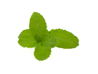 fresh mint isolated on white background