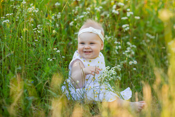 charming little girl in a white dress is sitting on a flower meadow. child playing outdoors