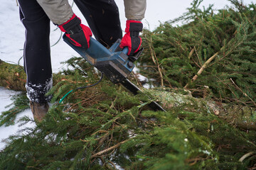 Obraz premium male hands in gloves with a chainsaw cut down branches on a fallen spruce in the winter on the snow