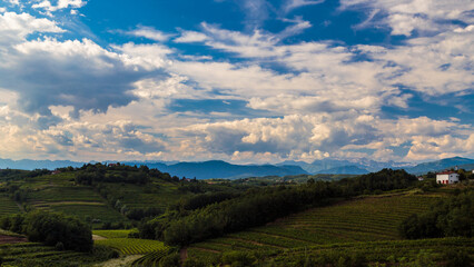 Fototapeta na wymiar The beautiful vineyard of Collio, Friuli Venezia-Giulia, Italy