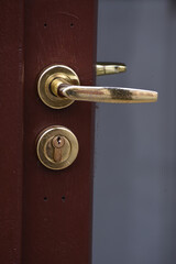 Obraz premium Golden door handle doorknob ,