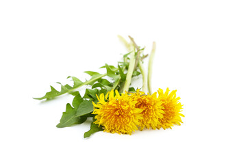 Bouquet of dandelion.