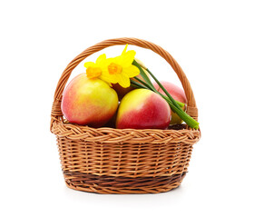 Apples in the basket with daffodils.