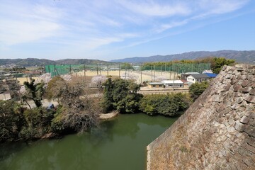 Fototapeta na wymiar 三重県　伊賀上野城の桜